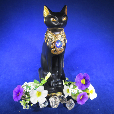 Nile Cat